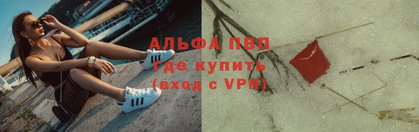 шишки Белоозёрский