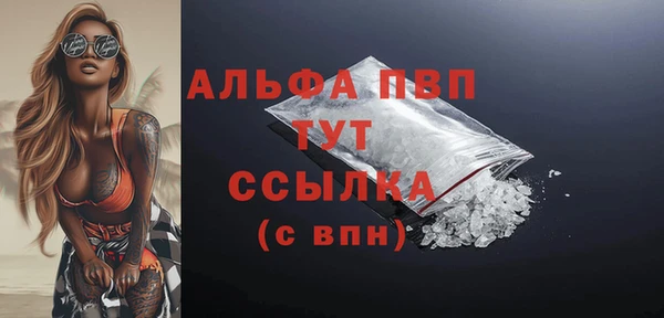 шишки Белоозёрский
