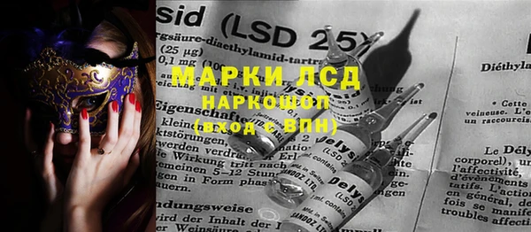 шишки Белоозёрский