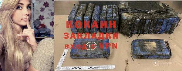 шишки Белоозёрский
