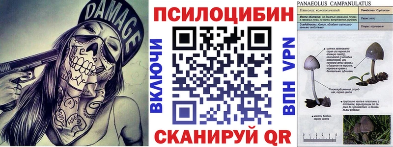 Галлюциногенные грибы Psilocybine cubensis  это Telegram  Вытегра 